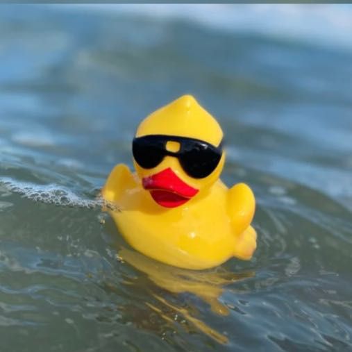 rubber duck.jpeg